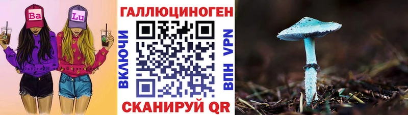 купить наркотик  гидра маркетплейс  Галлюциногенные грибы MAGIC MUSHROOMS  Кашин 