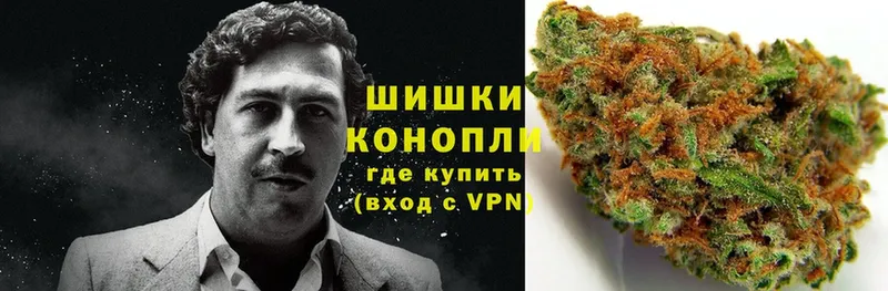 Канабис White Widow  Кашин 